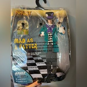 Men’s Mad as a Hatter Halloween Costume